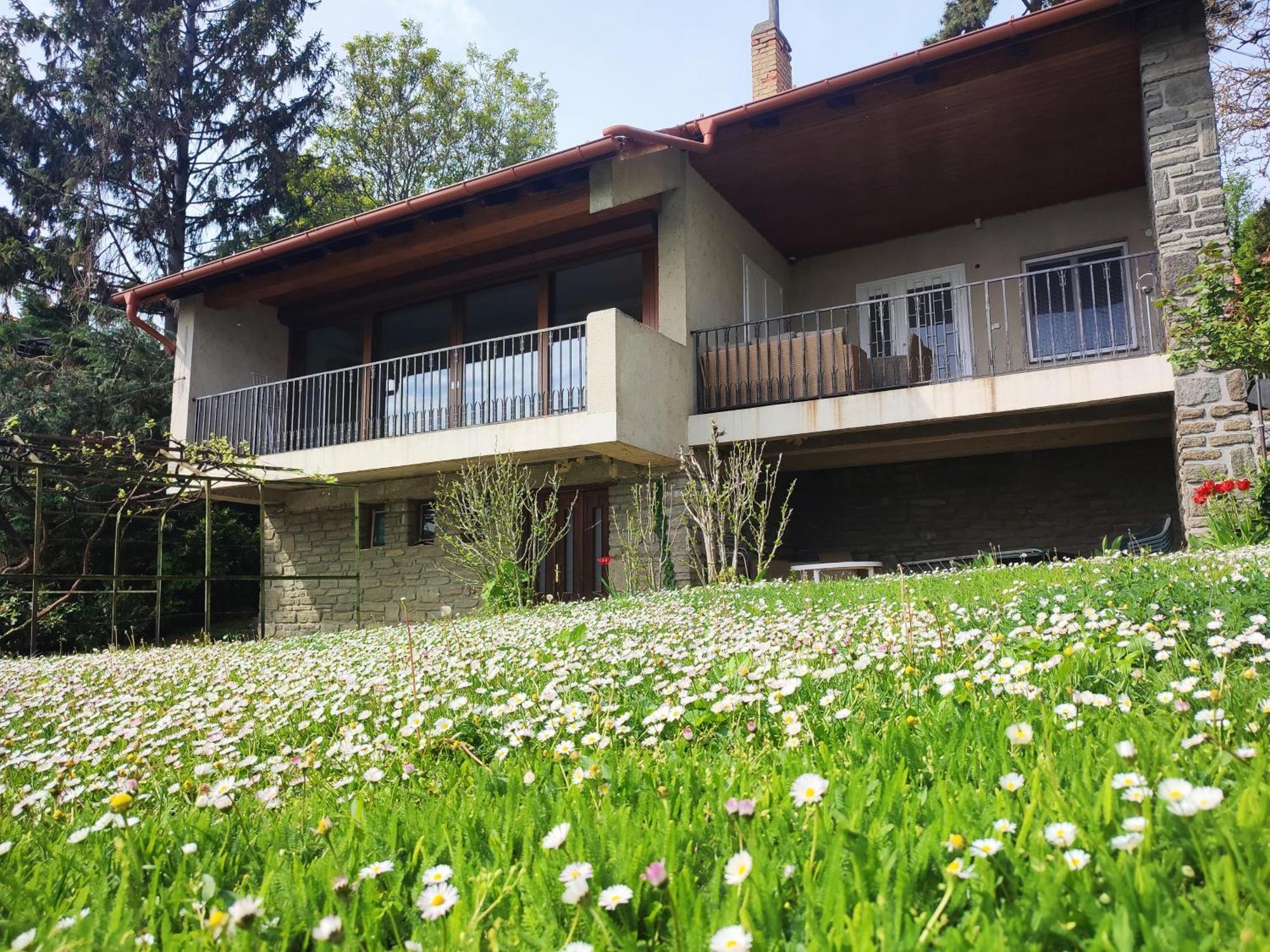 Dorka Villa Tihany Exteriör bild